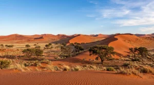 Deserto del Kalahari in Namibia, paesaggio di dune rosse e acacie.