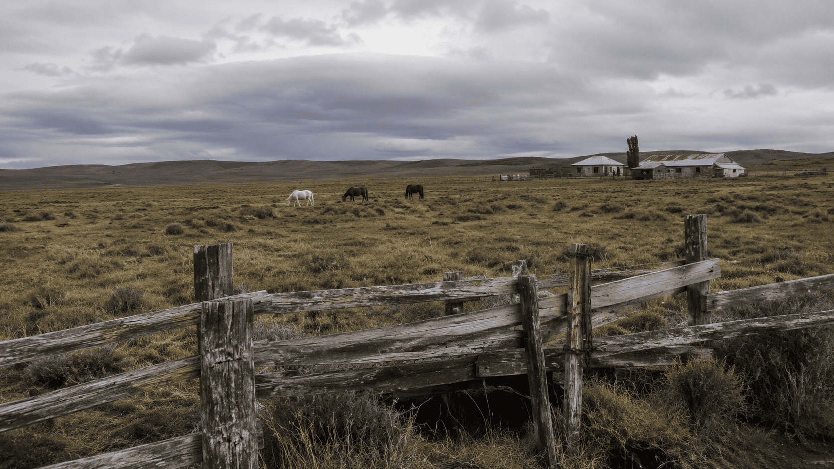 Dettagli di una estancia patagonica con recinti, pecore e paesaggio di steppa