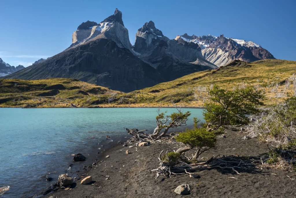 Patagonia